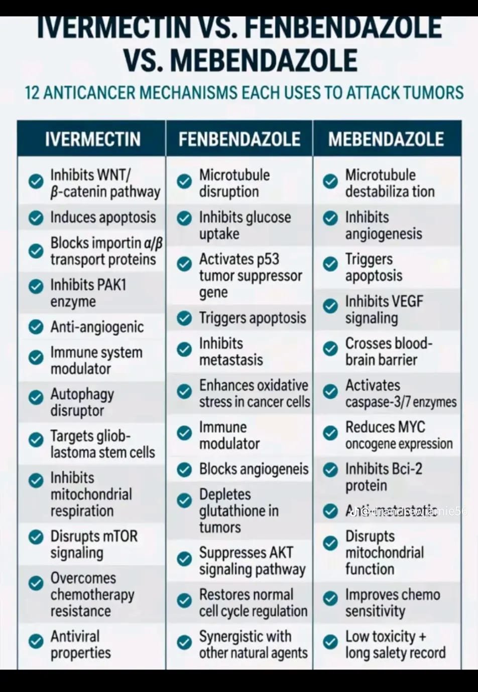 Produit 4